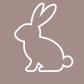 icon3